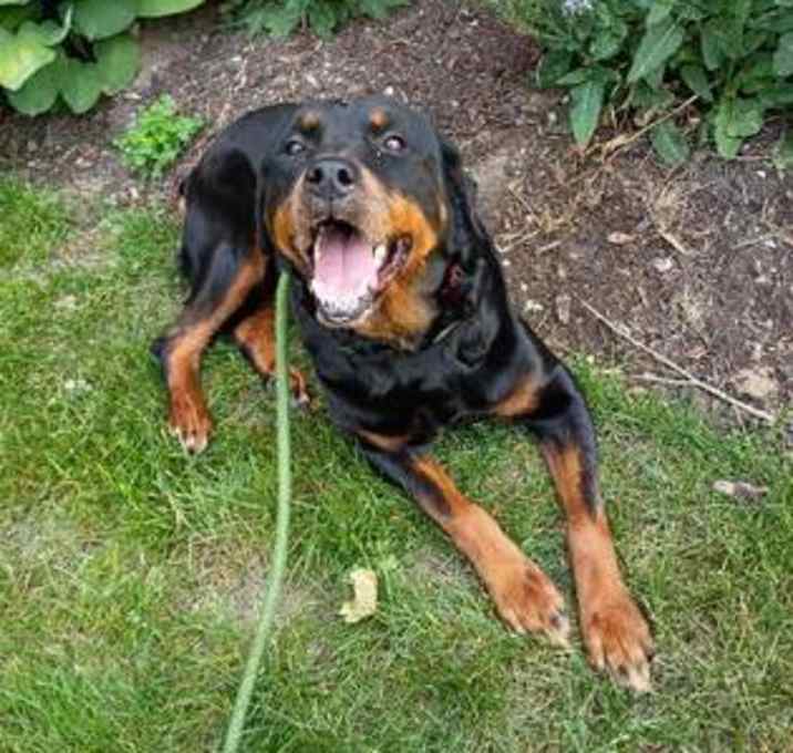 Photo of Beezus