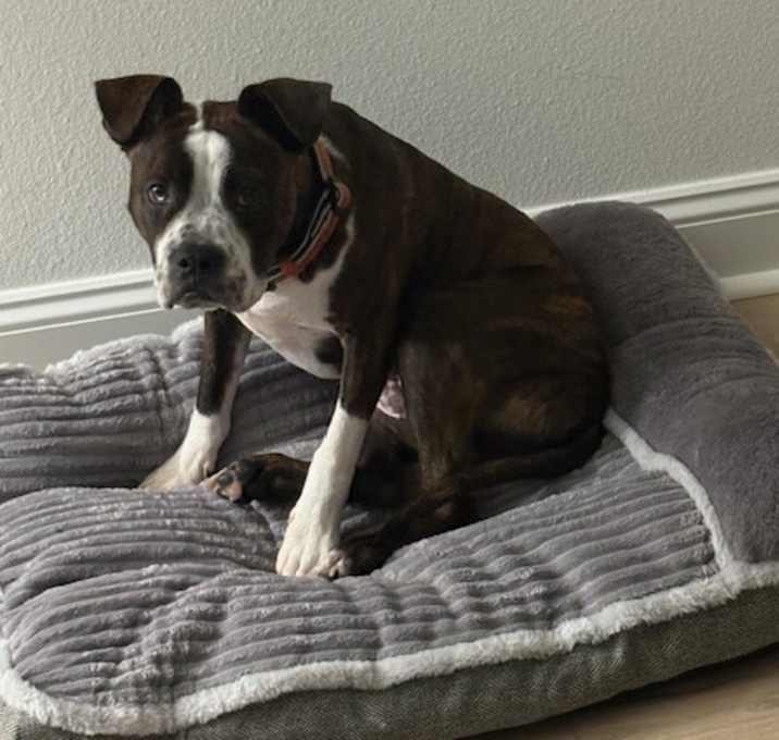 Photo of Jax