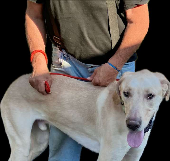 Photo of Ghostey