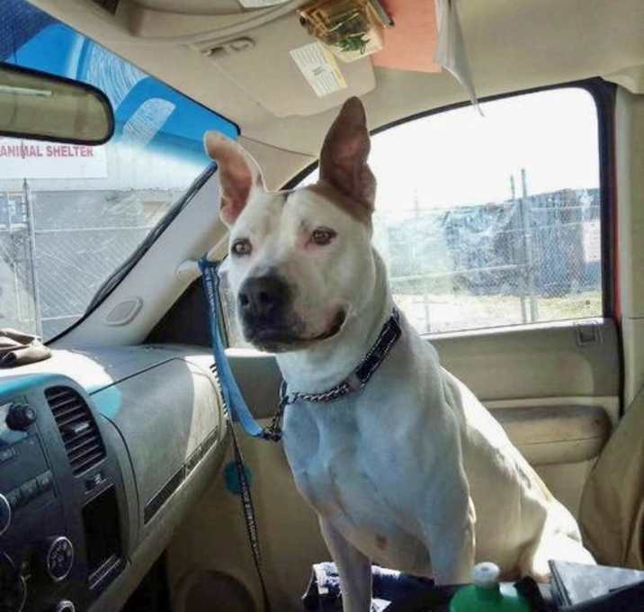 Photo of Deuce