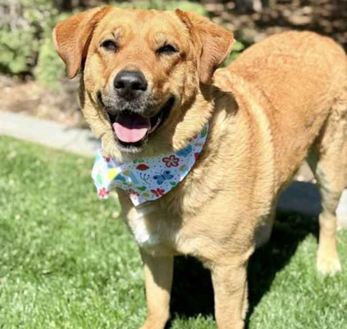 Photo of Chloe