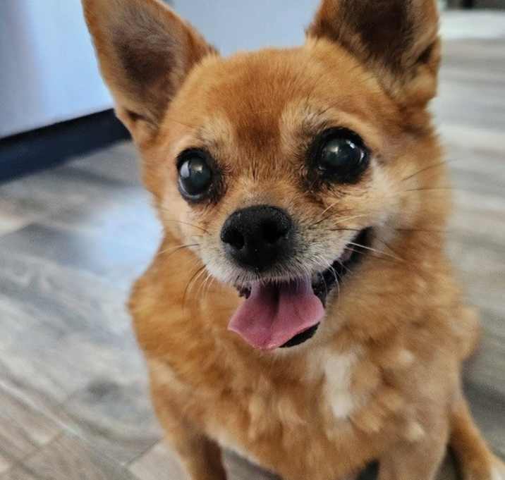 Photo of Lizzy
