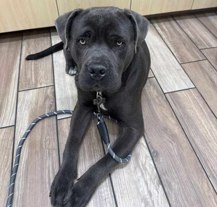 Photo of Storm