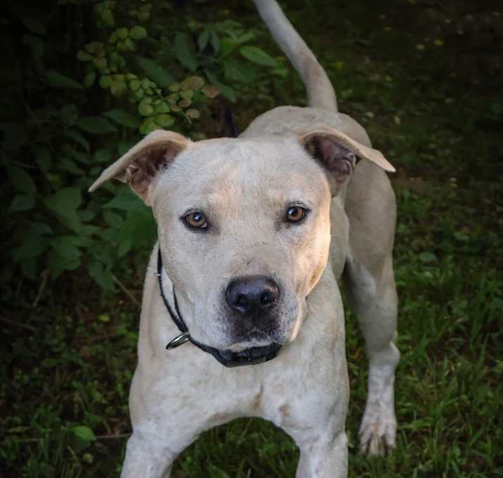 Photo of Tobi