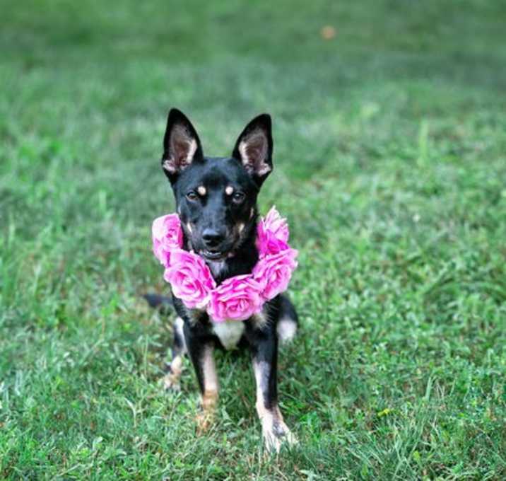 Photo of Leeza