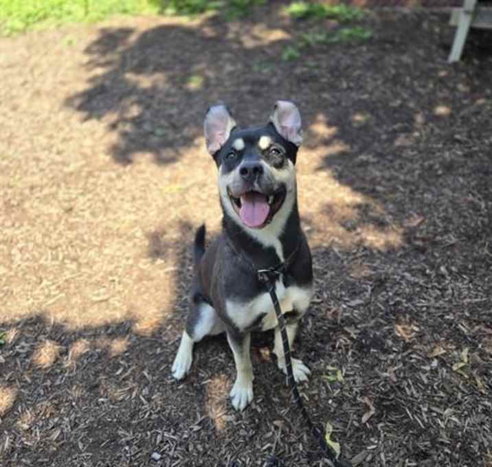 Photo of SCOOTER