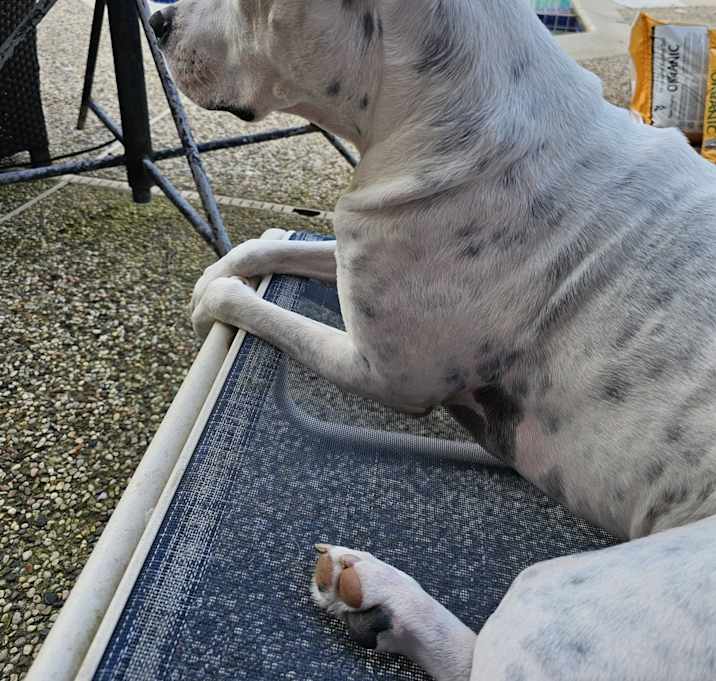 Photo of Rona