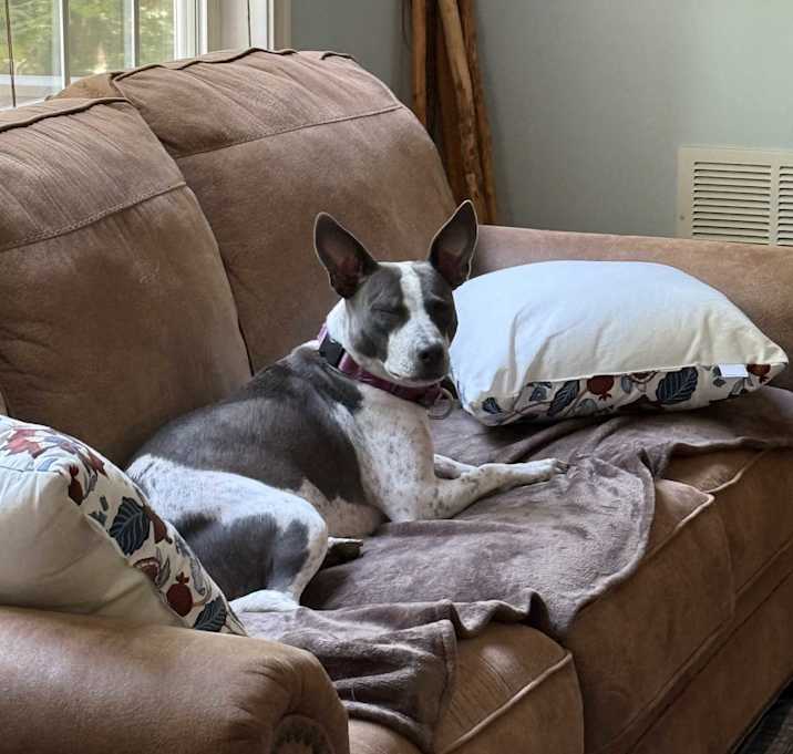 Photo of Masie