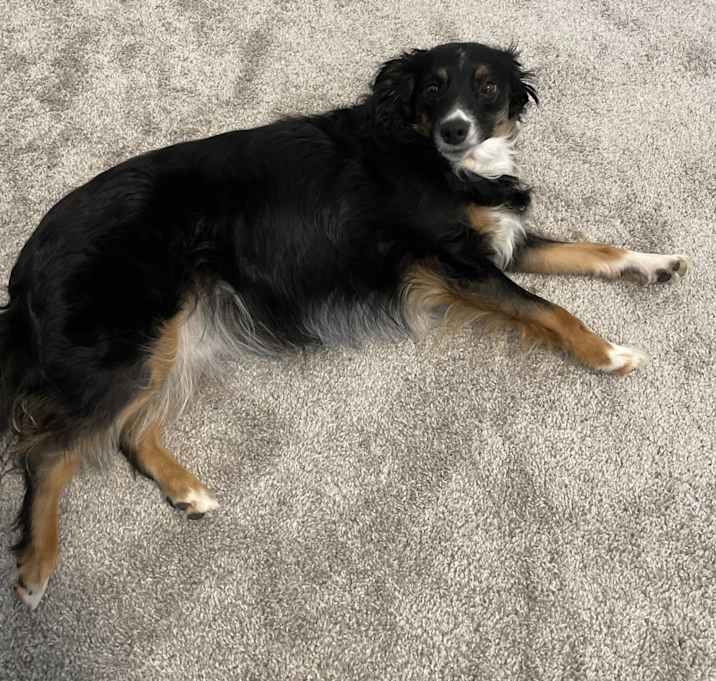 Photo of Rosie