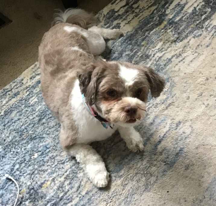 Photo of Fritz
