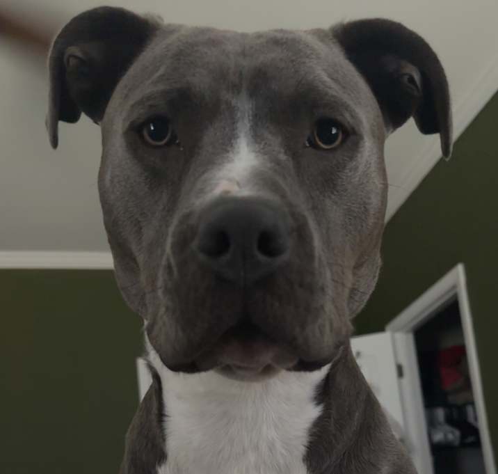 Photo of Storm