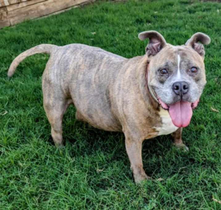 Photo of CLEO