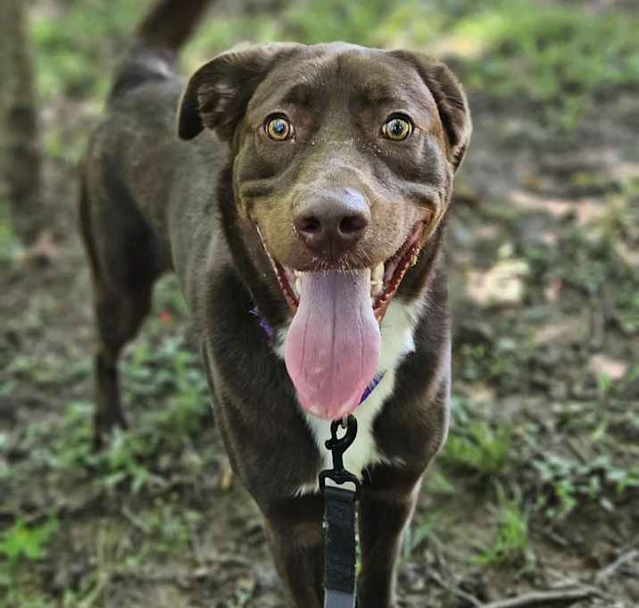Photo of Yogi