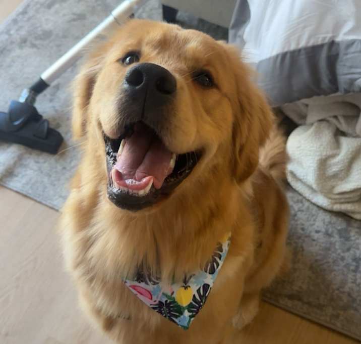 Photo of Cooper