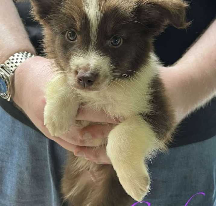 Photo of Cash
