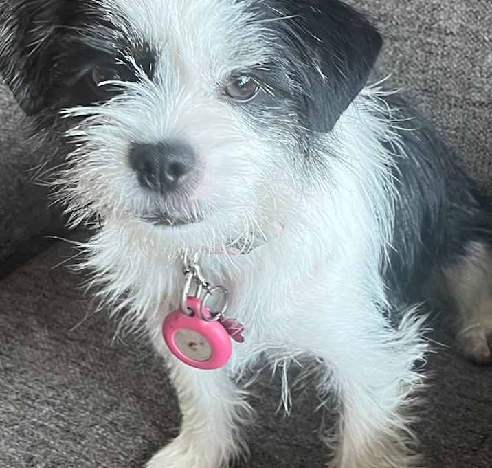 Photo of Winnie