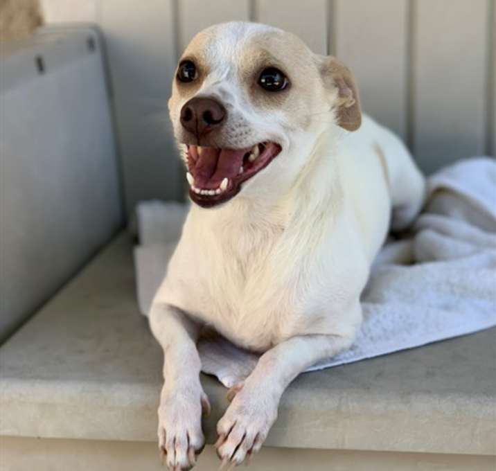 Photo of *ROXY*