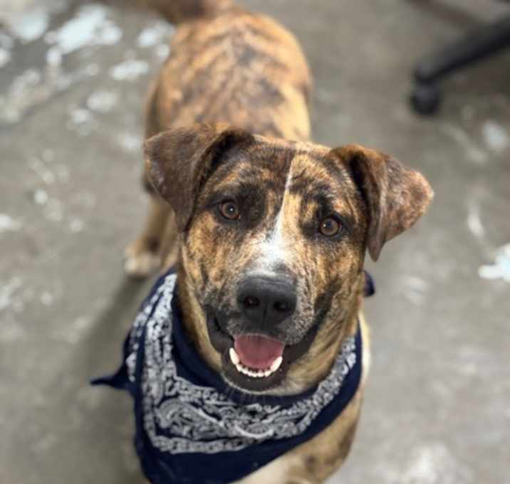 Photo of Max