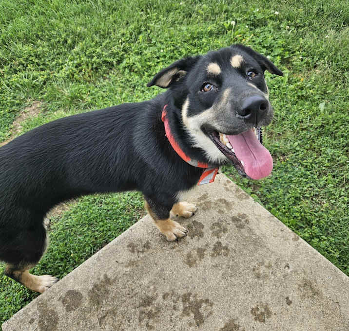 Photo of Peach