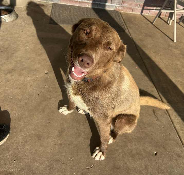 Photo of Daisy