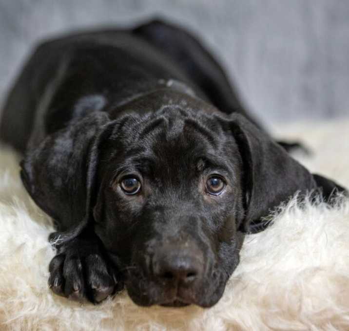 Photo of Jayden Jesse Caney