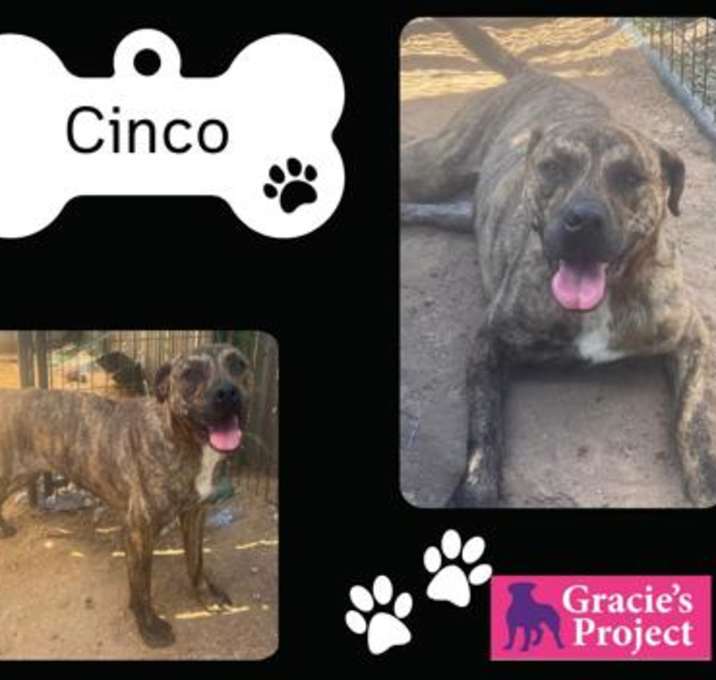 Photo of cinco