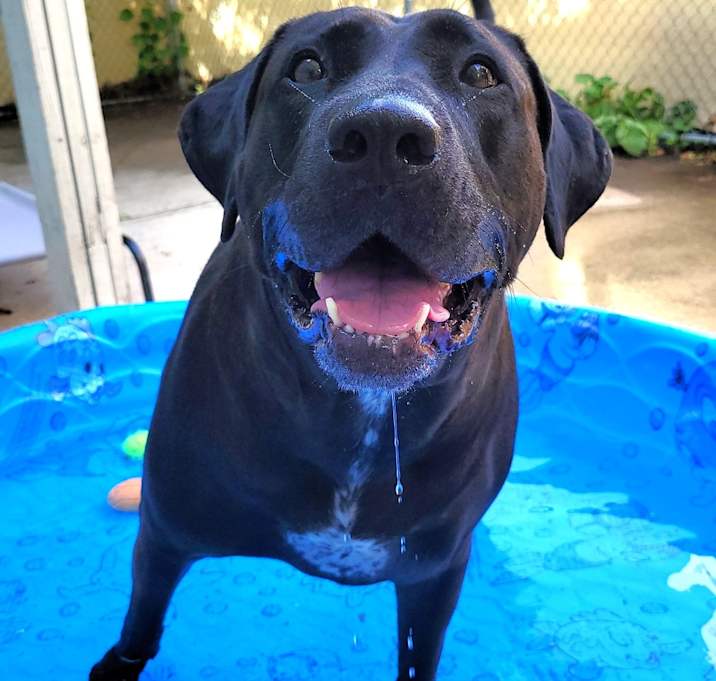 Photo of Lucy