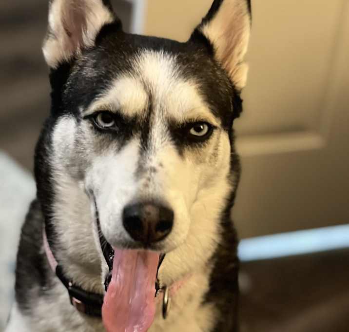 Photo of Luca