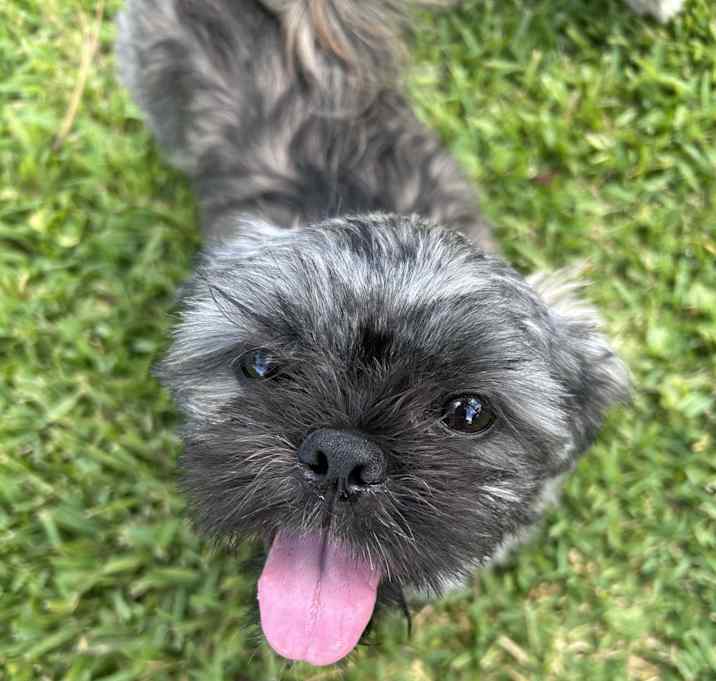 Photo of Charlotte