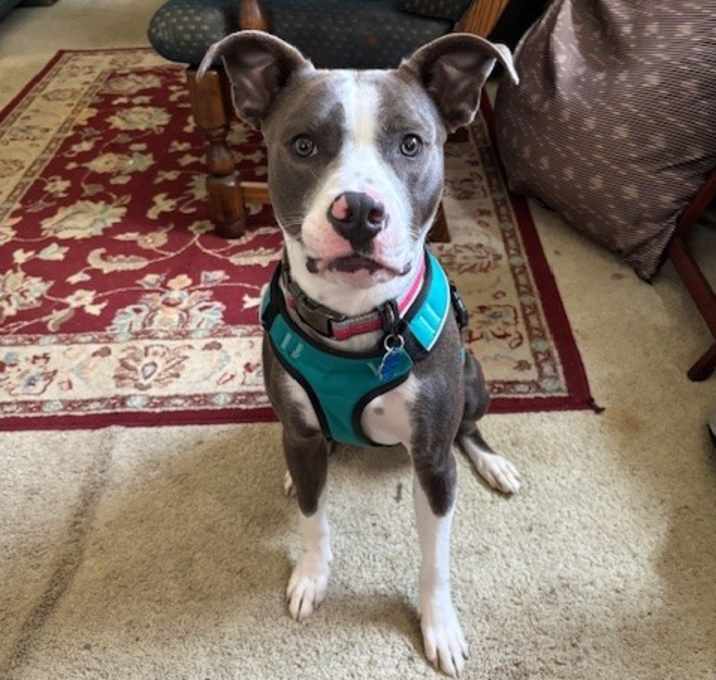Photo of Myla