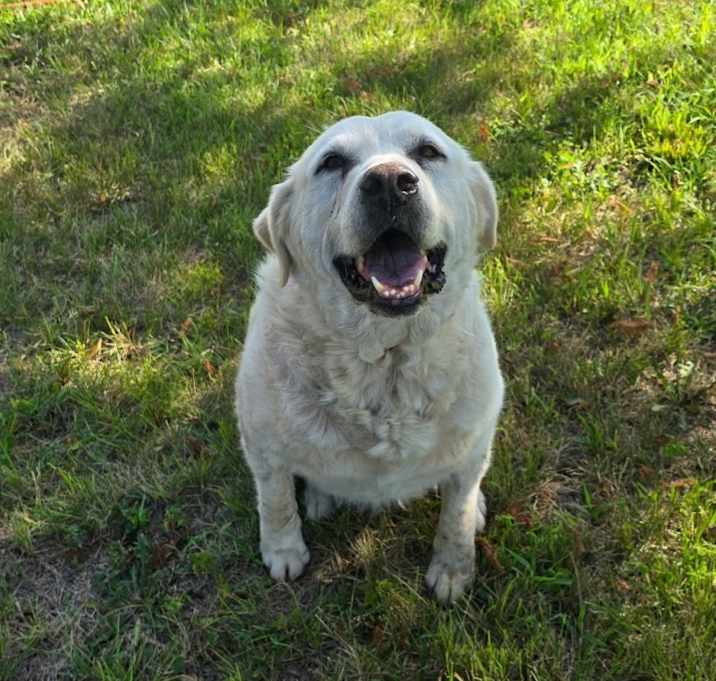 Photo of Bella