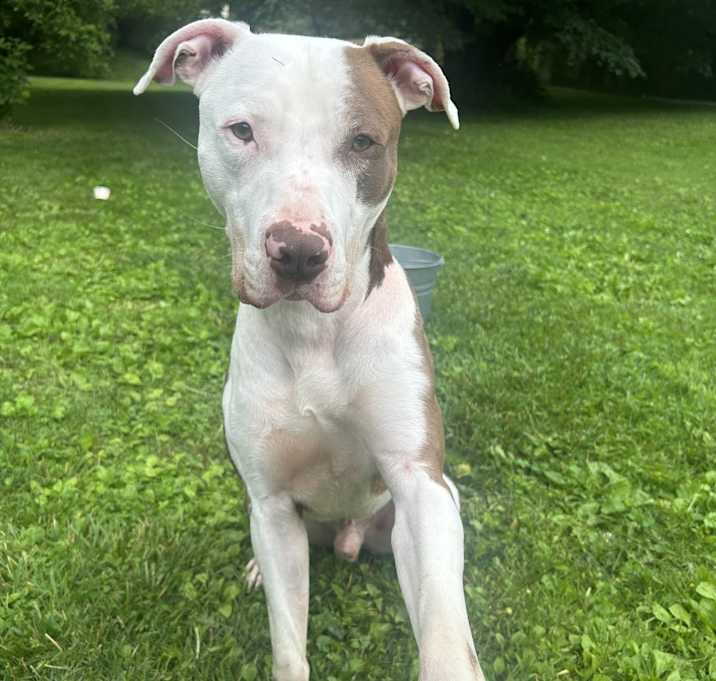 Photo of Max