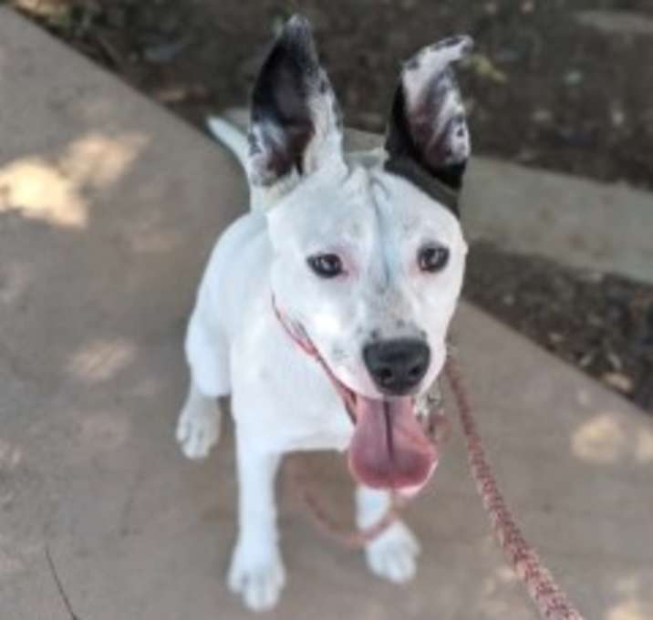 Photo of Cleo