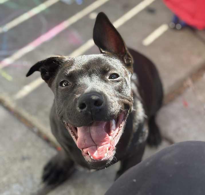 Photo of Bentley