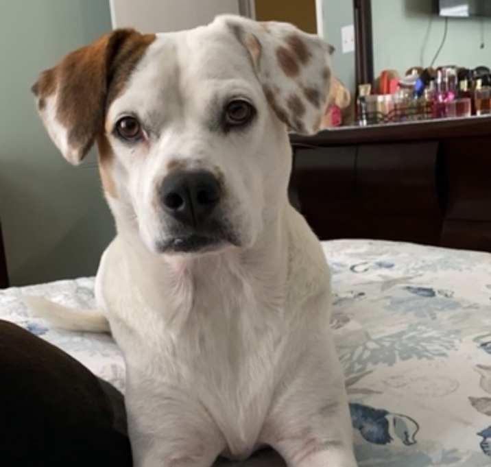 Photo of Mishka