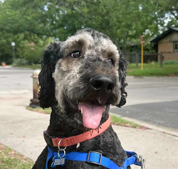 Photo of Theodore