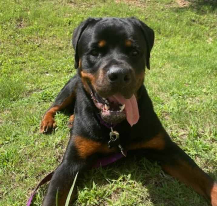 Photo of Twix
