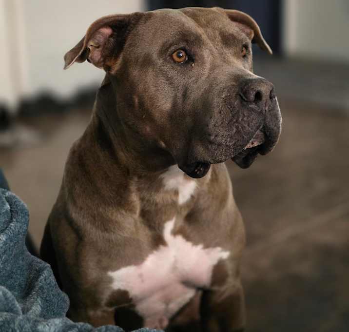 Photo of Mamba