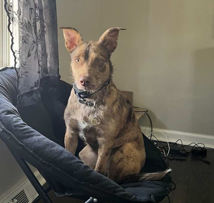 Photo of Enyo