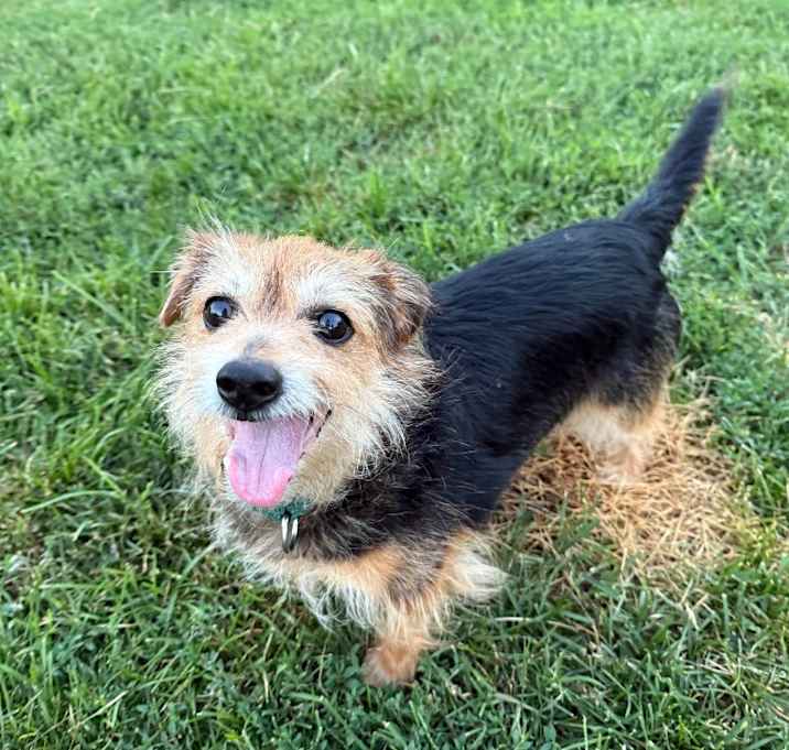 Photo of Bam Bam