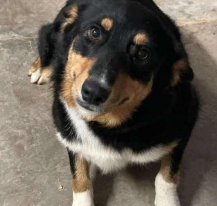 Photo of SPONSOR ME - Maggie