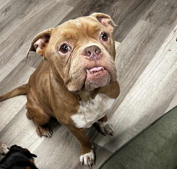 Photo of Bruce