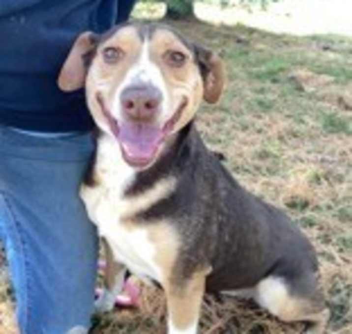 Photo of Truffle