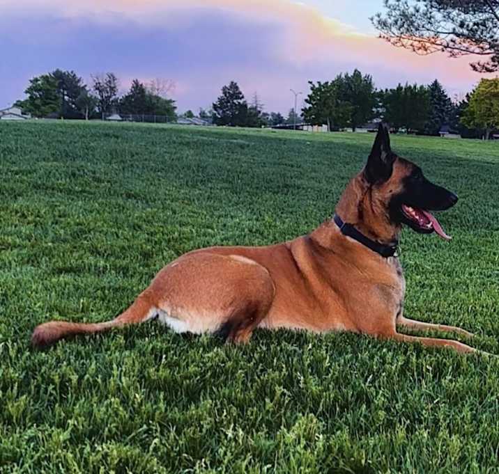 Photo of Jack