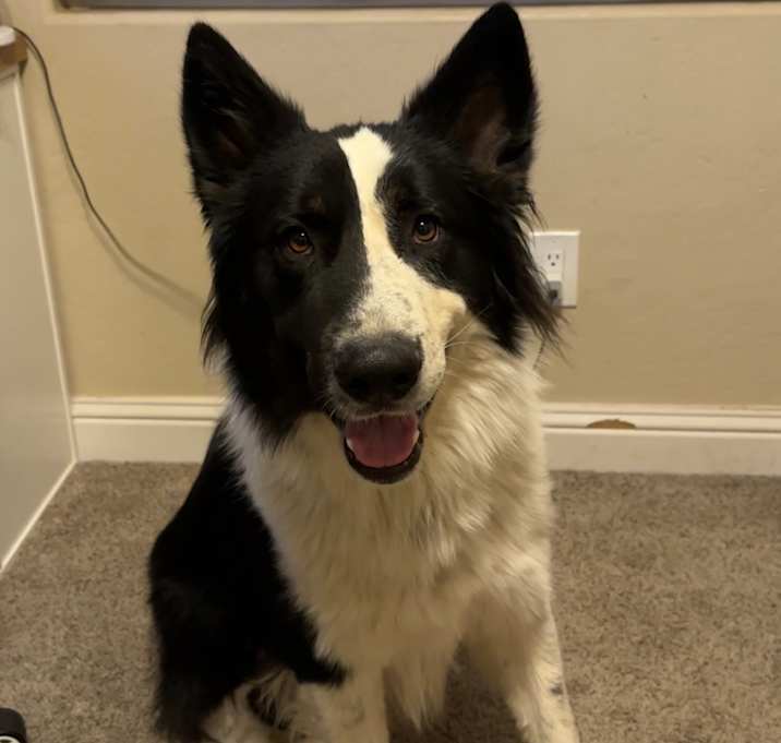 Photo of Bruce