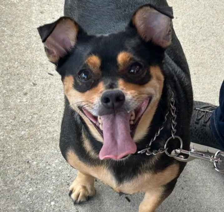 Photo of Jelly Roll