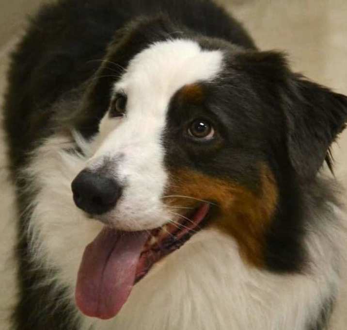 Photo of Steele