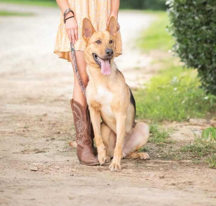 Photo of Dusty