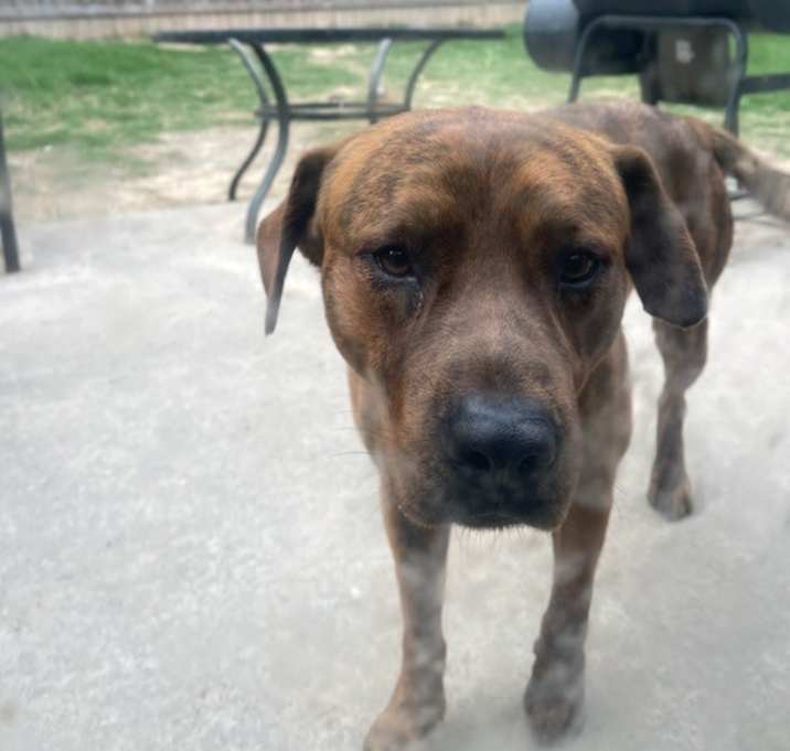 Photo of Max