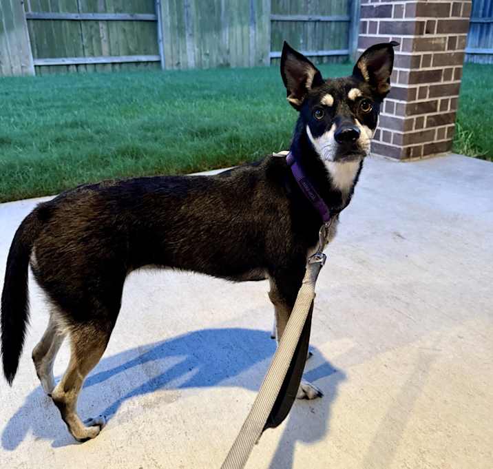 Photo of Blue